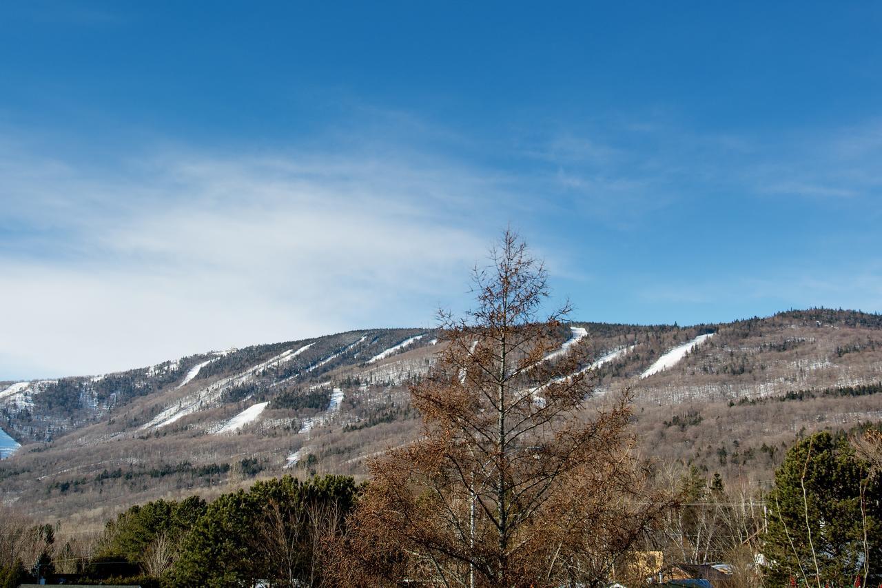 Le Vallon Saint-Ferreol-les-Neiges 外观 照片